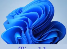 Tiny11 Core 25H2 Full İndir Türkçe